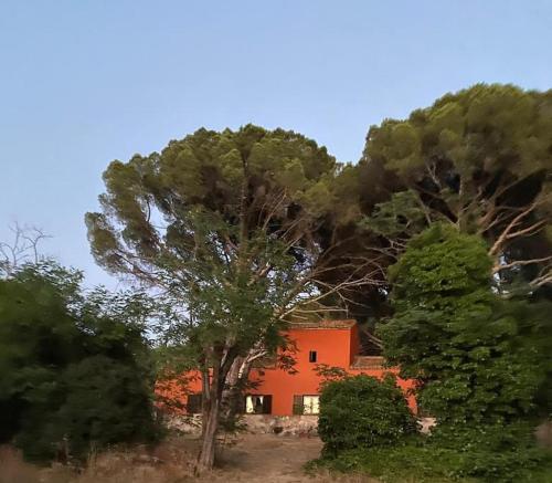 Casa en campo para desconectar en Madrid con Animales