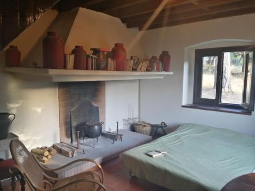 Casa en campo para desconectar en Madrid con Animales in Cenicientos