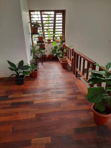 Shruthi's Aarohi-Nature's Retreat Homestay