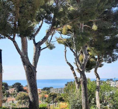 Maison entre Pins et Mer gîte à louer Carry-le-Rouet