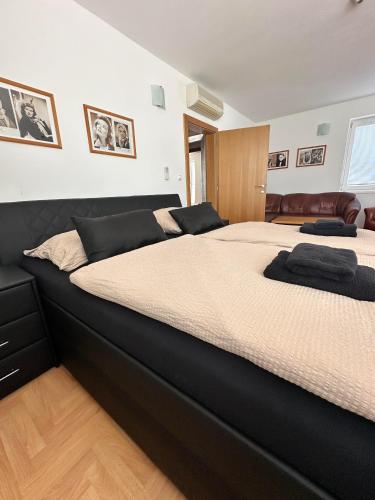 Hotel Muza - image 2