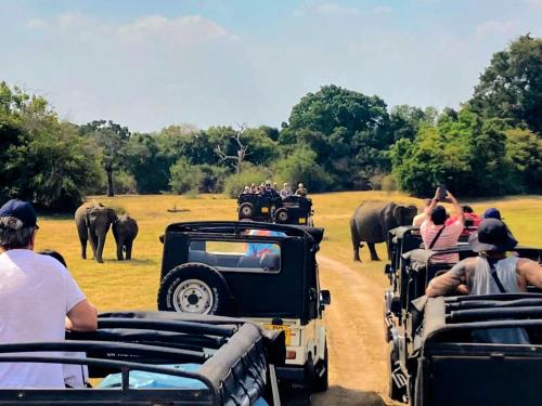 The Cattleya Guest House Sigiriya
