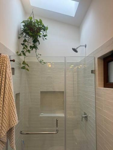 Chic two bedroom apartment in Antigua, Antigua Guatemala (foto 5)