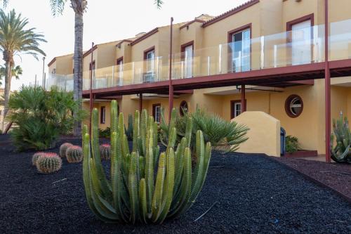 Apartamentos Maxorata Beach - image 4