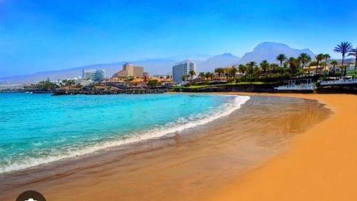 BLUEBIRD Luxury apartment in Las Americas 1