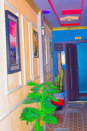 Seadmed, Texas Deluxe B&B in Kajiado