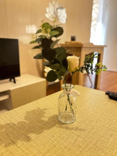 Superbe appartement proche Disneyland & Paris 2