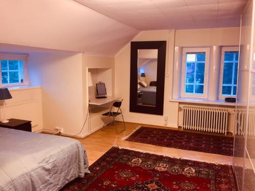 Famous Villa Bertel Jung, Helsinki (photo 11)