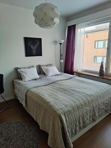 Jaakonkatu City Apartment