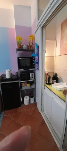 NICE EXCEPTIONNEL 2 PIECES 40 m2 DANS GRAND APPARTEMENT D HOTE ATYPIQUE ORIGINAL 200 m mer PROMENADE DES ANGLAIS, PLAGES, Nice (photo 5)