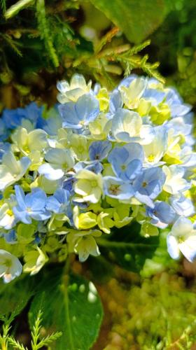 Casa Cipreste no Refúgio Pinheiro Beira Rio