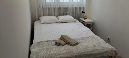 B10 Solec Kozminska 2 rooms Football Stadium