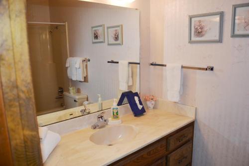 23 Tomisa Lane 23 Tomisa Lane