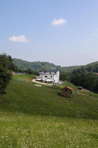 Casa Colet