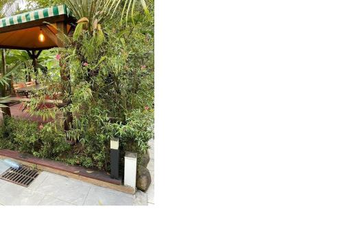 View, Appartement Bella in Morne-A-l'Eau