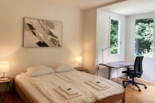 Fantastic 2 BD flat - Duke1, Curych (fotografie 10)