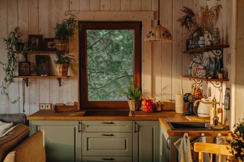 Terra Gratia - namukas Išminčius (Terra Gratia - namukas Ismincius) in 比利亞基埃米斯