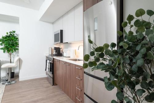 Luxury Studio King bed Gym near MIT Harvard in Area Iv