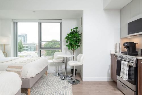 Luxury Studio King bed Gym near MIT Harvard in Area Iv