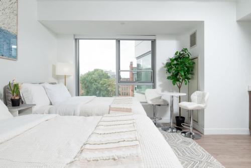 Lux Studio 2xQueen beds Gym near MIT Harvard, Boston