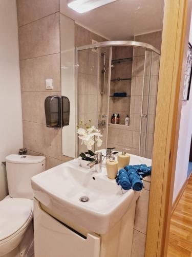 Kamche Lux Apartment, Skopje (fotografie 9)