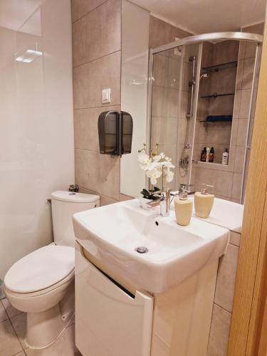 Kamche Lux Apartment, Skopje (fotografie 10)