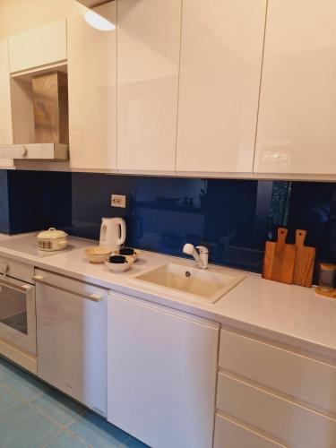 Kamche Lux Apartment, Skopje (fotografie 6)