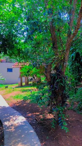 LUMA - Hospedaria, São Roque (foto 7)