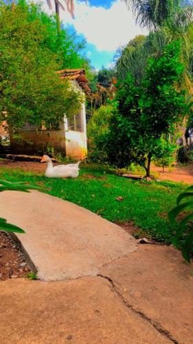 LUMA - Hospedaria, São Roque (foto 8)