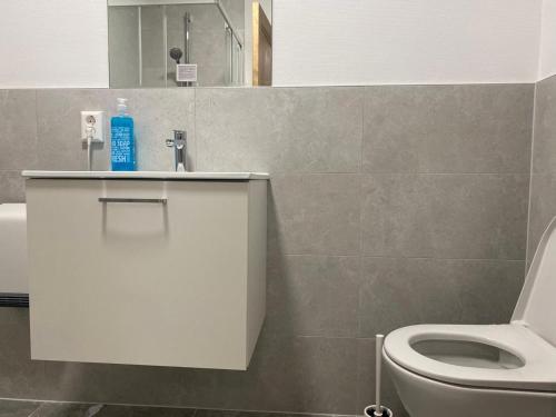 Studio near to the City Centre 2