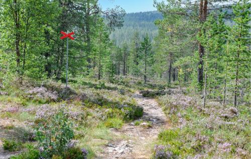 Viesnīcas āriene, Gorgeous Home In Sälen With Sauna (Gorgeous Home In Salen With Sauna) in Tandadalen