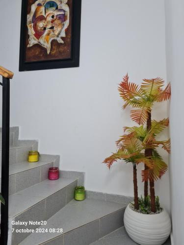 Chez Najib et Ziad in Temara