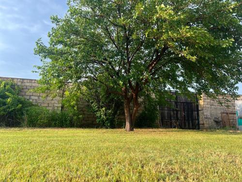 花園, BAKU outskirt - Vacation Home in 蘇姆蓋特