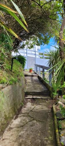 TuiLookout in Brooklyn