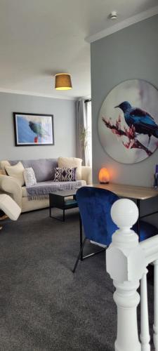 TuiLookout in Brooklyn