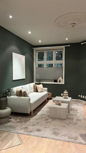 Cozy and comfortable flat in the heart of Oslo, Oslo (fotografie 10)