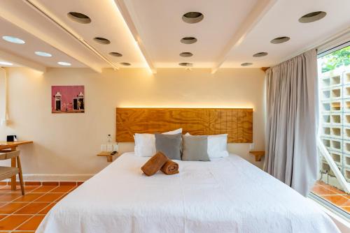 Casa Jicama, Cancún (fotografie 6)