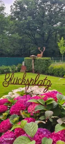 Hirschblick in Gronau, Deutschland