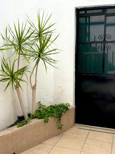 Hotel Boutique Casa Miranda in Querétaro, Mexico
