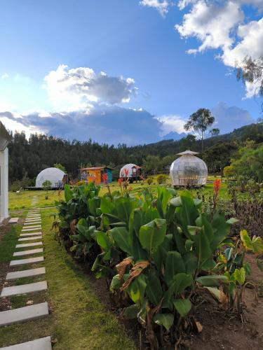 Aldebarán Boyacá - Glamping, Duitama (foto 7)