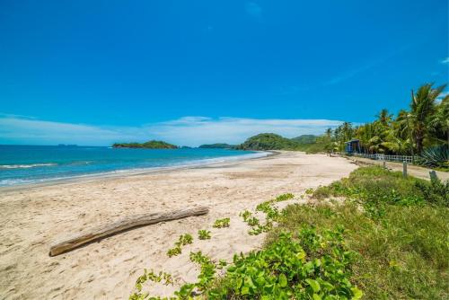 Oceanview Infinity Pool Walk to 2 Beaches