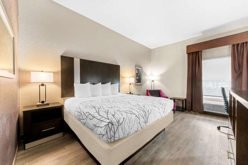 1 king bed