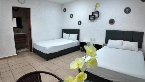 Hotel Bosque Caribe, 5th Av. zone in Playa del Carmen, Mexico