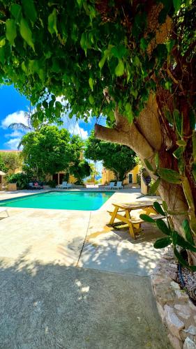 Appartement 8 & 9- Lagun blou resort - Curaçao, Lagun (photo 8)