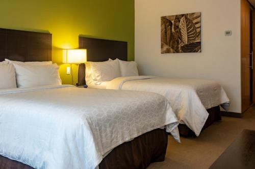 603120873 Holiday Inn Express Managua by IHG