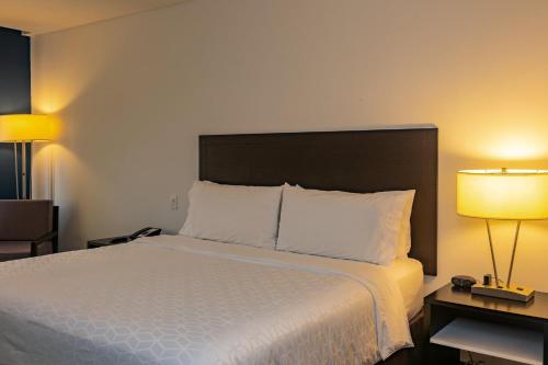 603120887 Holiday Inn Express Managua by IHG