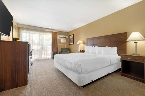 Best Western Oceanside Inn Room Type - King Room - Non-Smoking
