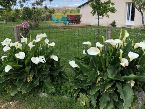 . Gîte spacieux avec jardin privé, proche Dordogne et Charente, idéal pour 2 personnes et animaux acceptés