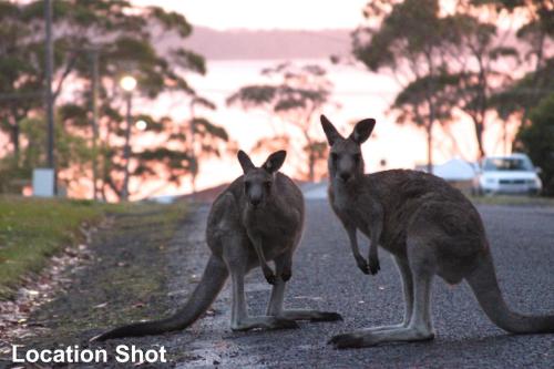 Jan's Retreat by Experience Jervis Bay in Erowal Bay