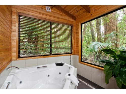 Sadržaji, The Mouses House Rainforest Retreat in Springbrook